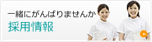 採用情報